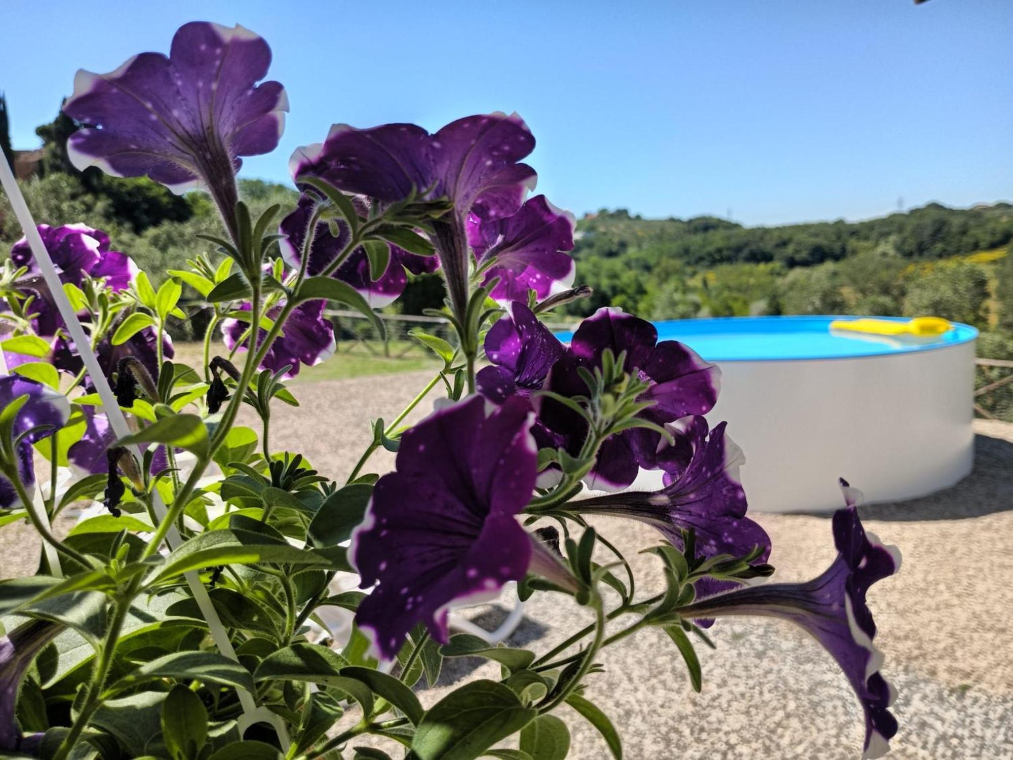 Villa Degli Olivi Nature Siena Zewnętrze zdjęcie