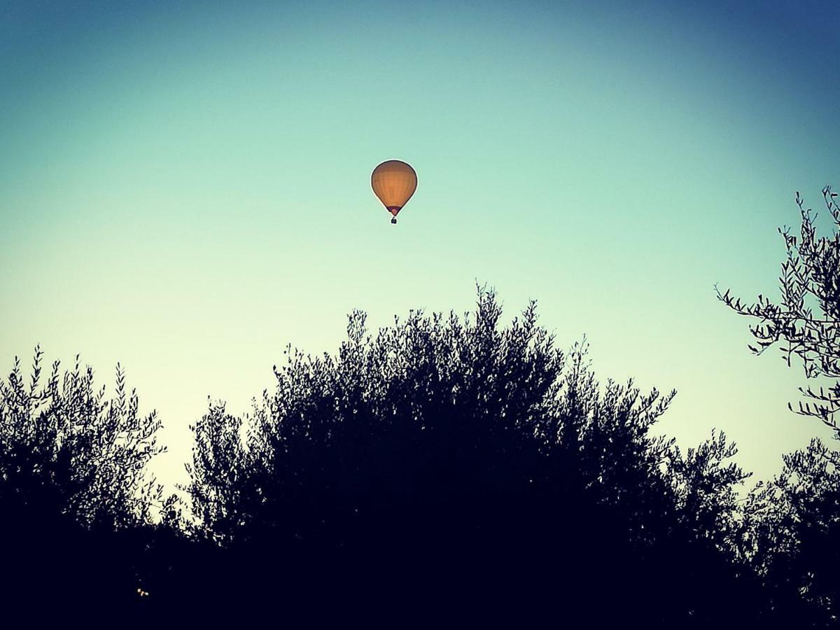 Villa Degli Olivi Nature Siena Zewnętrze zdjęcie